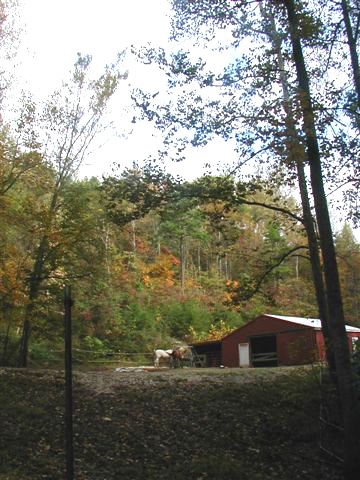 Sunset Ridge Farm Stanton Kentucky Appalachia Autumn