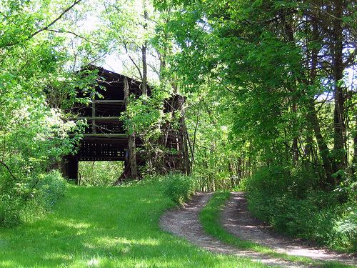 A rustic old barn, Woodford County, Kentucky