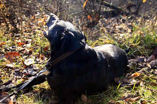 Nada como el sol, soaking up the winter sun