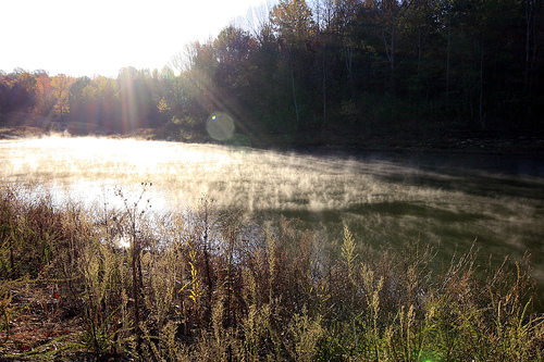 Fog rising on a chilly morn Taylor Co., Kentucky