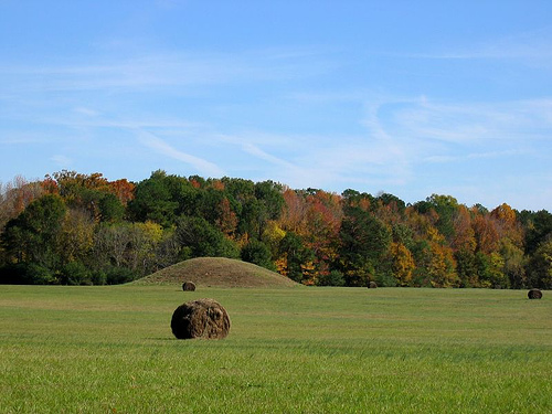 Pharr Mounds