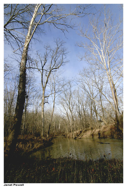 creek washington county kentucky KY