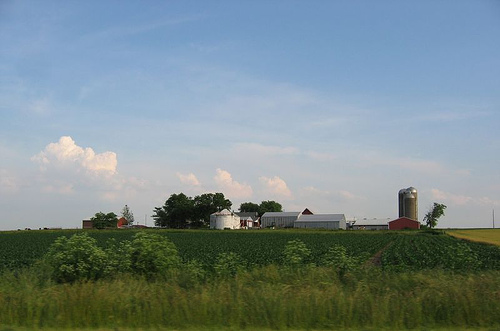Iowa farm scene