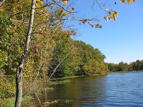 Hematite Lake, near Cadiz, KY