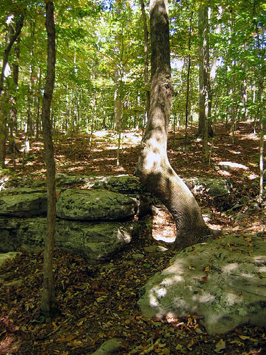 microkarst outcrop