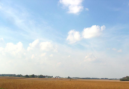 Farm near Eastview, KY