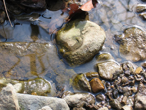 Kentucky creek, assortment of rocks