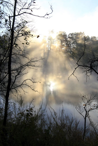 haunting mist of autumn