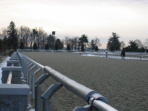 thoroughbreds keeneland kentucky bluegrass