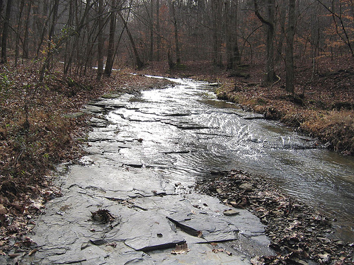 new albany shale creekbed kentucky